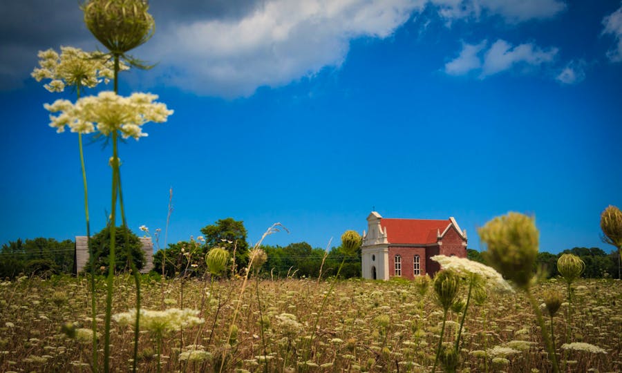 The Brick Chapel with Queen Anne's Lace in the foreground.