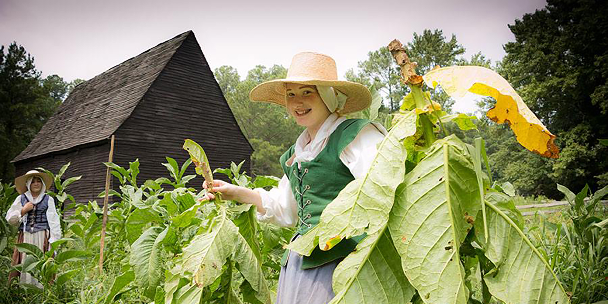 Visit the Godiah Spray Tobacco Plantation, representing a small farm in 1667.