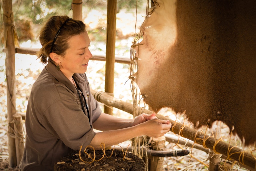 A HSMC staff member is demonstrating how to tan a deer hide in a manner similar to how Native Americans living around the Chesapeake Bay