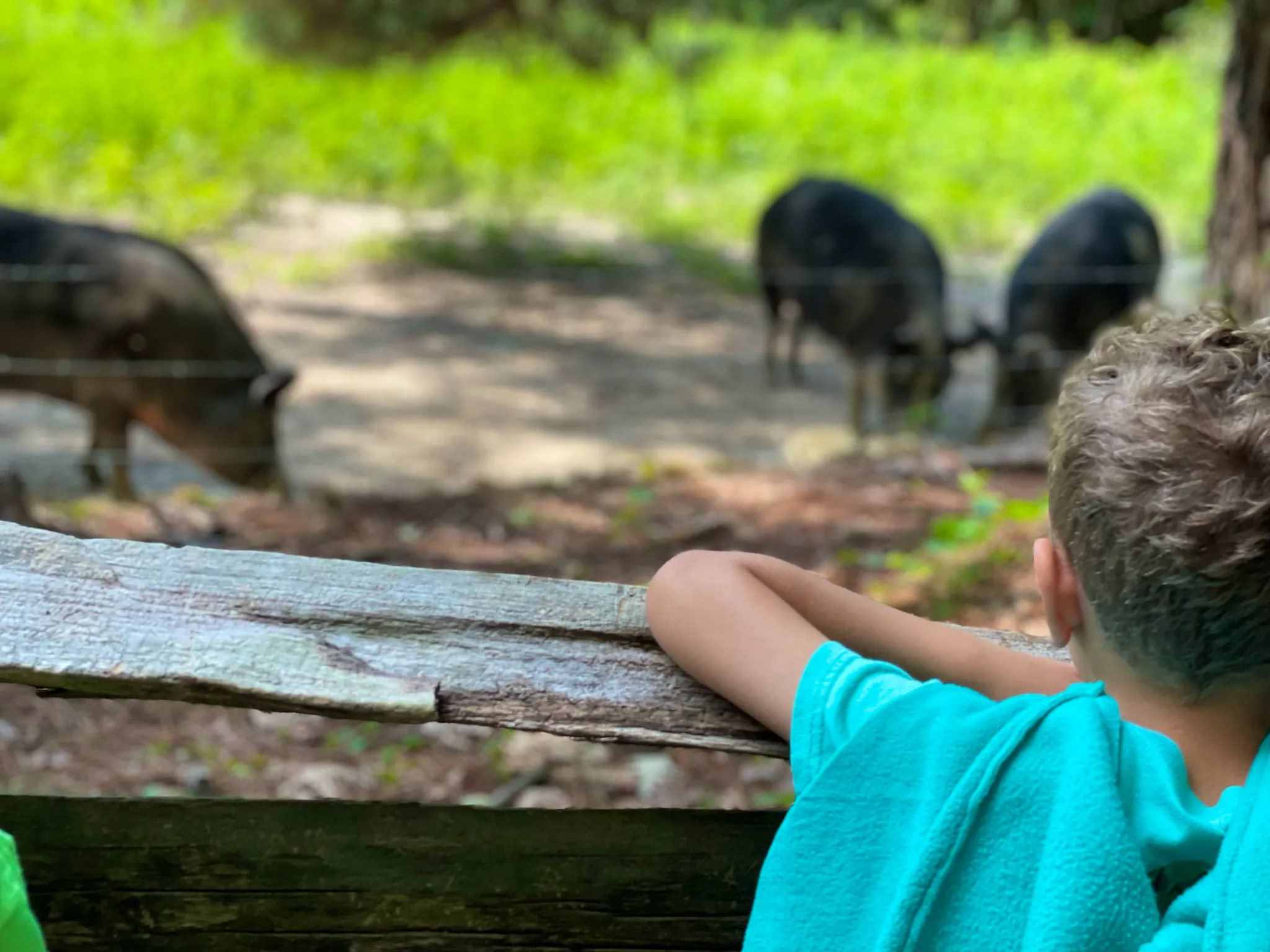 Sunday Family Fun Day – Scavenger Hunt