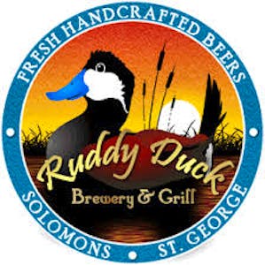 ruddy-duck