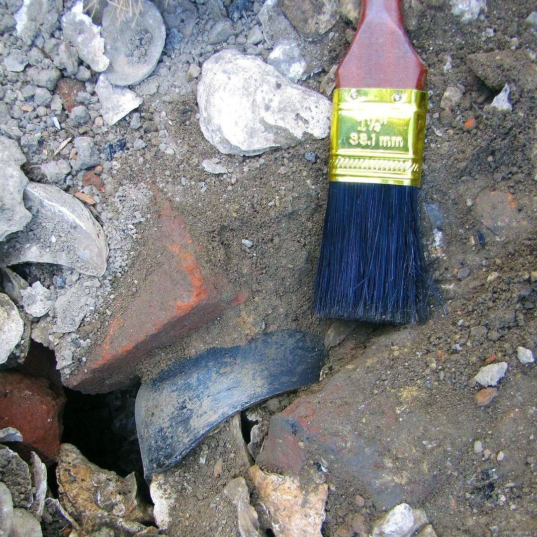 oyster shells found during an archaeological dig