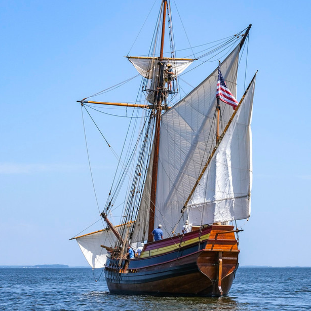 The new Maryland Dove has full sails open and is out in the water.