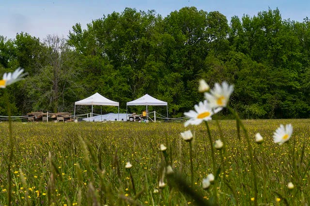white pop up tents are in the background of a large field.