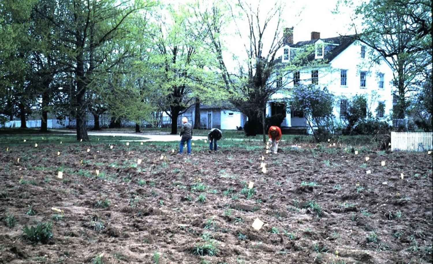 Archaeological surface collection around the 1840s Brome Plantation House that gave the first clues as to where the center of St. Mary’s City might have been