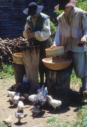 Stories - Tales of the Dunghill Fowl