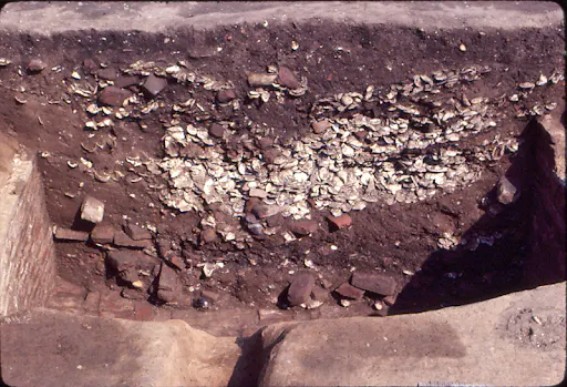 Stories - Tracing Colonial Footsteps
